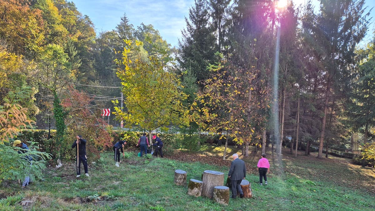 Image for Săptămâna Altfel, la Liceul Tehnologic Băile Govora